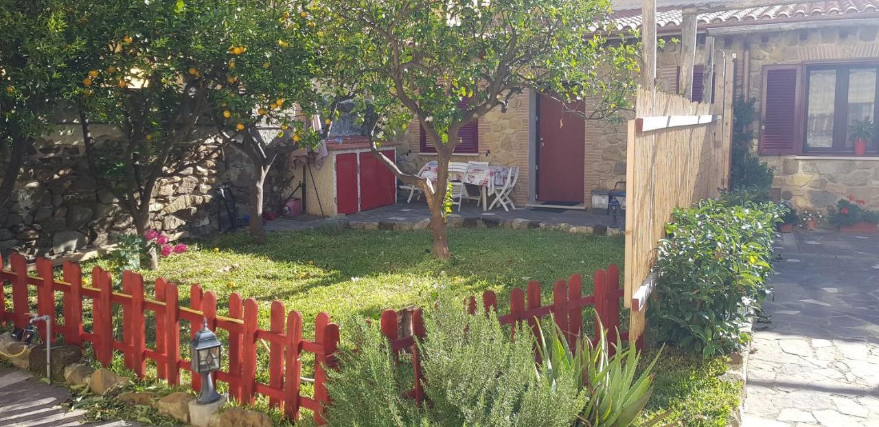 Apartamento casa gabri Santa Marinella Exterior foto